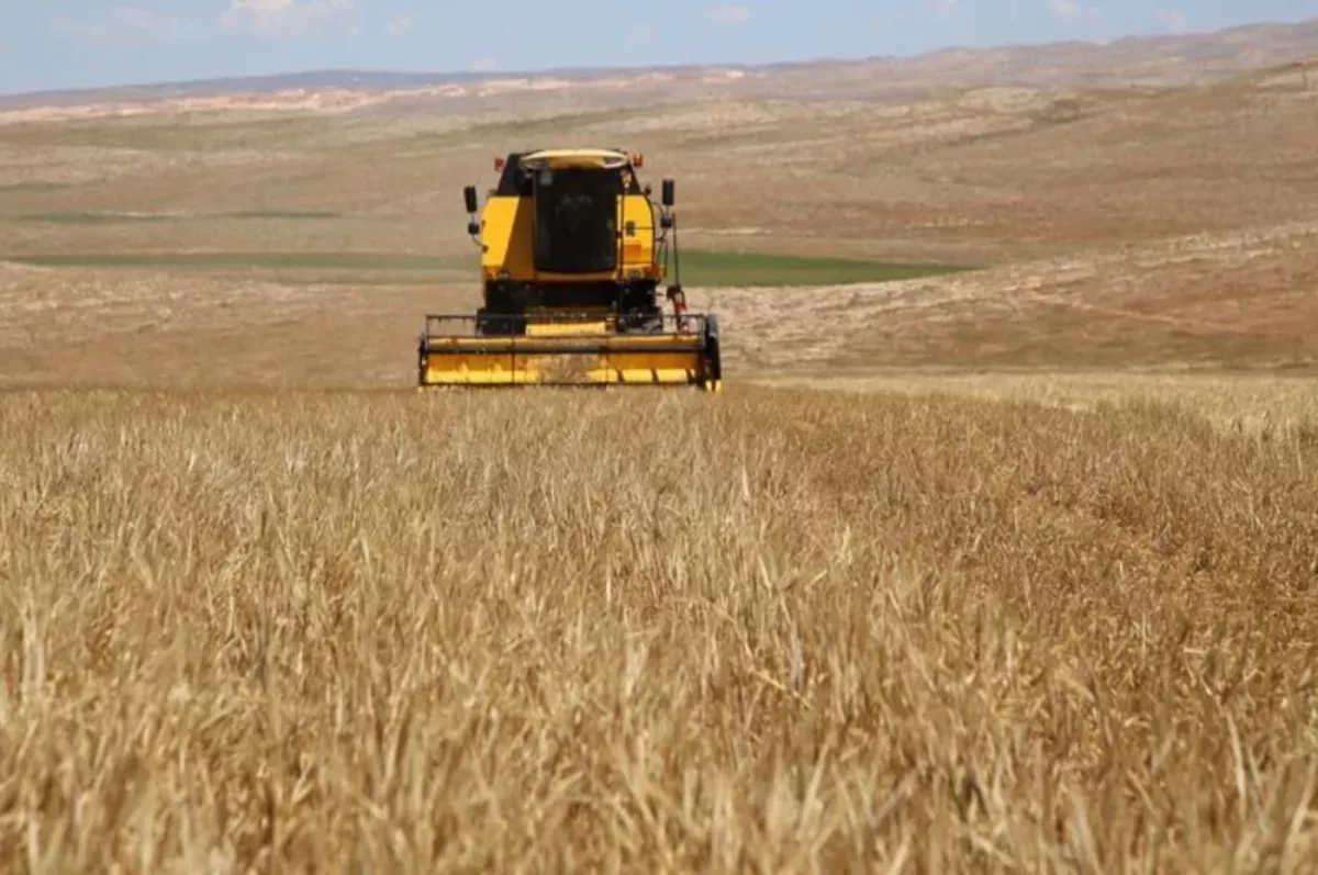 Deprem bölgesindeki sertifikalı tohum destekleri yüzde 100 artırıldı