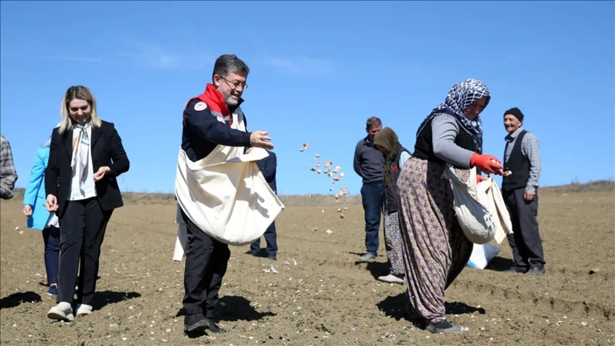 Tarım ve Orman Bakanı Yumaklı, Kastamonu'da sarımsak ekimine katıldı