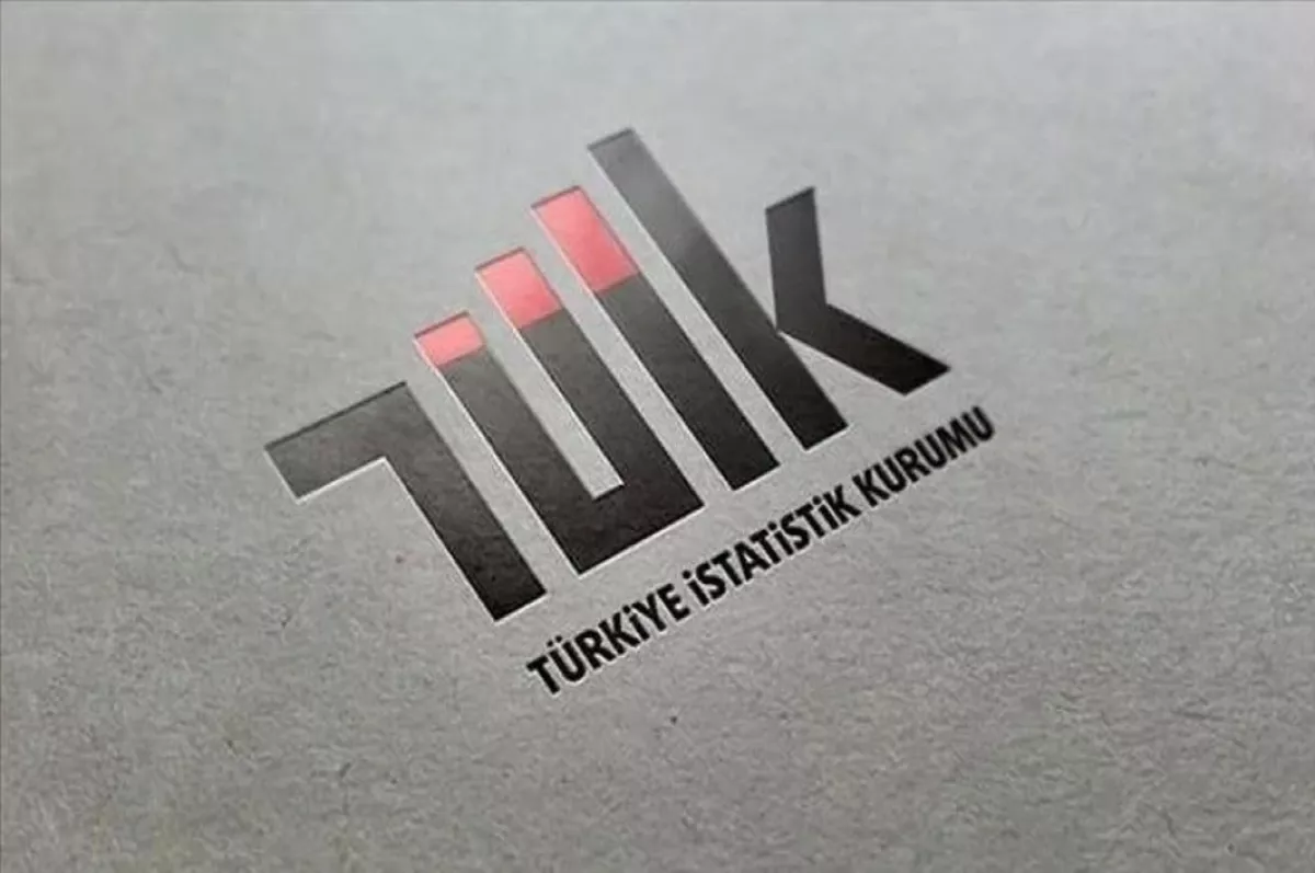 TÜİK'ten ücretsiz doğal gaz tüketiminin TÜFE'ye etkisine ilişkin açıklama