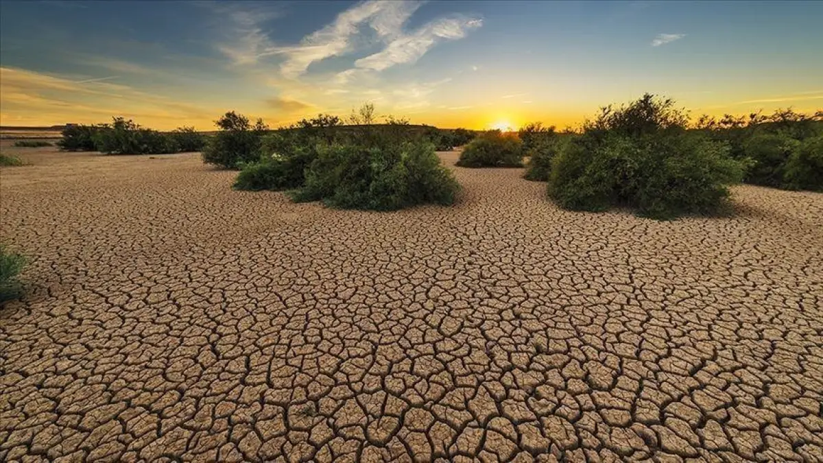 Citigroup'tan El Nino analizi: Küresel ekonomi için risk