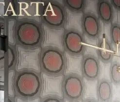 İstanbul Ticaret Üniversitesi Endüstriyel Tasarım bölümünden Türkiye ikinciliği