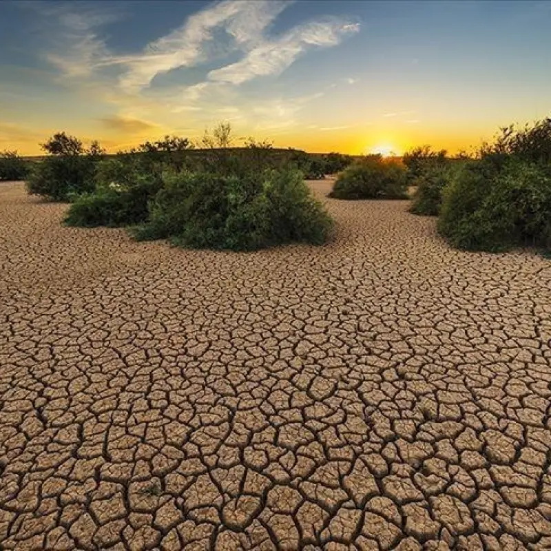 Citigroup'tan El Nino analizi: Küresel ekonomi için risk
