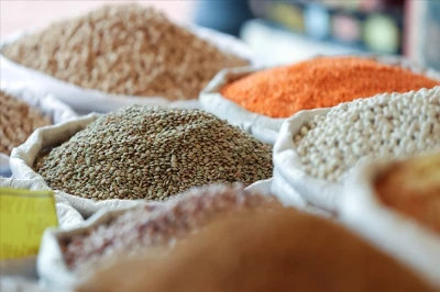 Le esportazioni turche di cereali e legumi hanno raggiunto i 9,2 miliardi di dollari